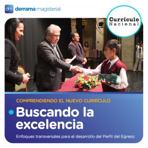 Enfoques transversales para el perfil de egreso: Búsqueda de la excelencia