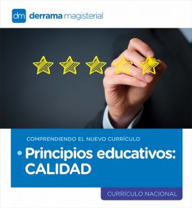 Comprendiendo el Currículo: Principios Educativos-Calidad