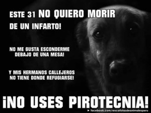 Los fuegos artificiales y las mascotas: Un tema para reflexionar